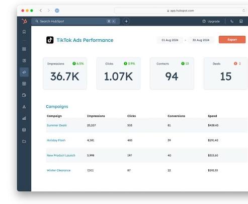 TikTok campaign impressions and clicks report